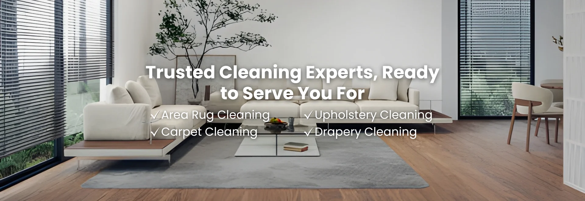 Carpet Cleaning
