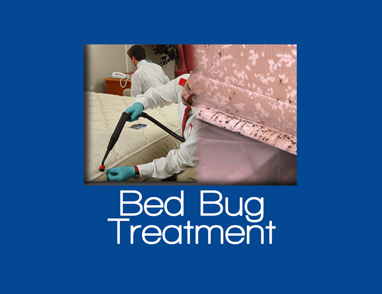 Bed Bug Treatment Staten Island